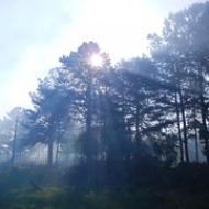 Lights of God Lights of God • <a style="font-size:0.8em;" href="https://www.flickr.com/photos/54090369@N05/7627137942/" target="_blank">View on Flickr</a>