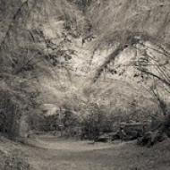 Nature loves you Nature loves you • <a style="font-size:0.8em;" href="https://www.flickr.com/photos/54090369@N05/7627148904/" target="_blank">View on Flickr</a>