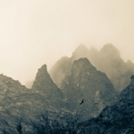 The flight of the Condor The flight of the Condor • <a style="font-size:0.8em;" href="https://www.flickr.com/photos/54090369@N05/7627154372/" target="_blank">View on Flickr</a>