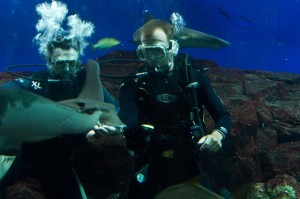 Feeding the rays-Singapore